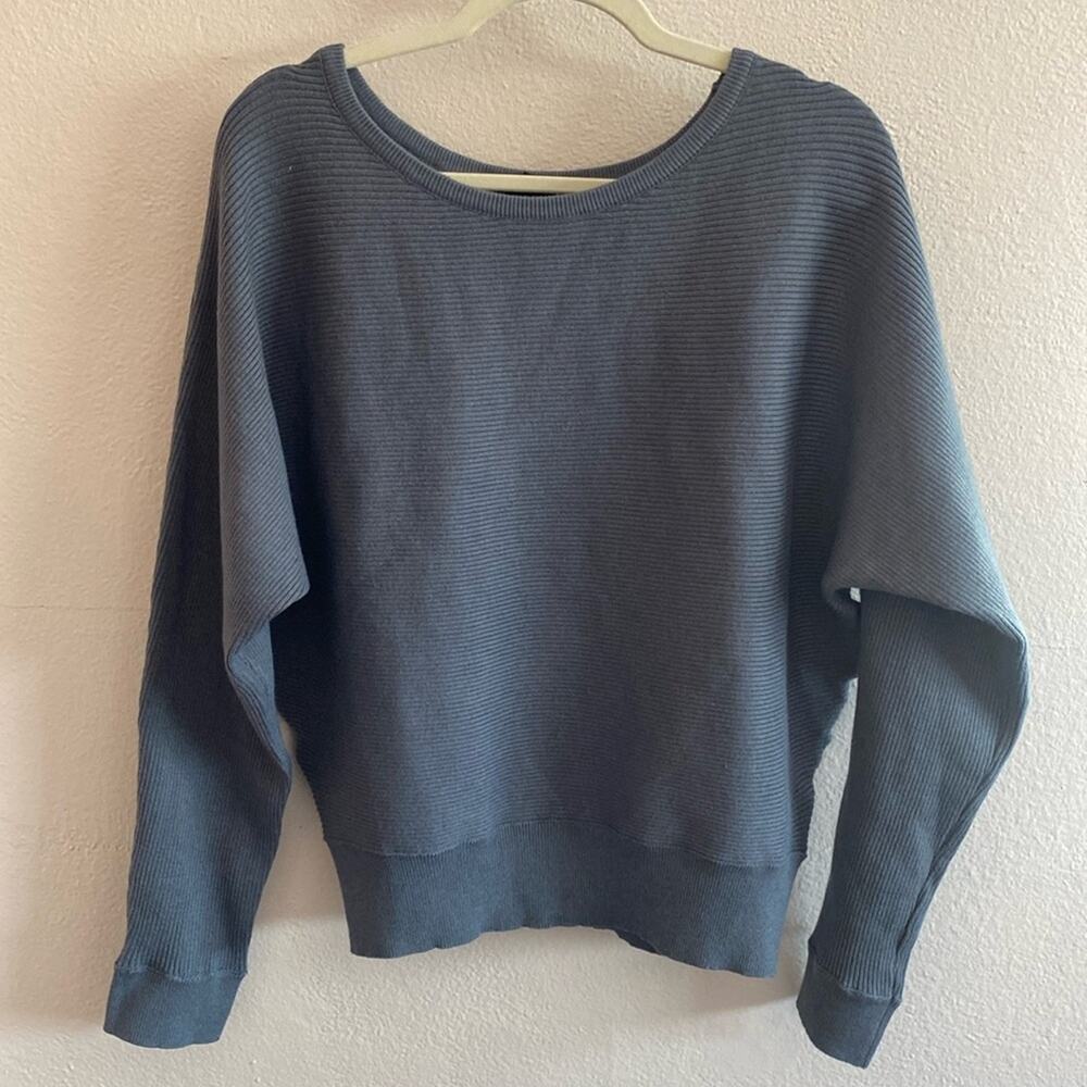 Link Tree Cozy blue sweater size L NWT
